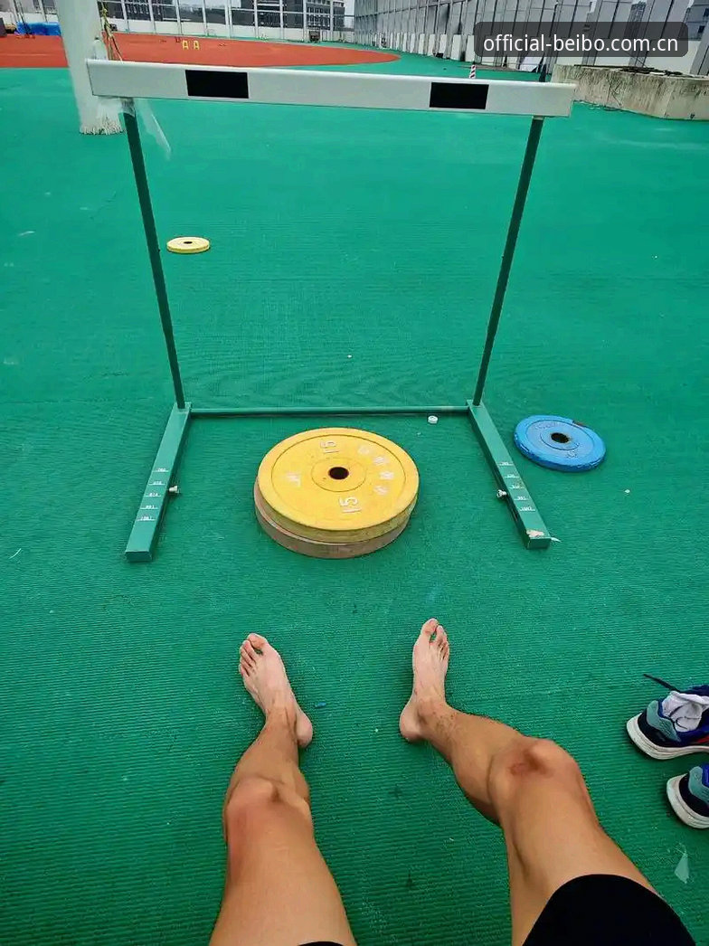 资深体育爱好者分享：贝博官网app实战使用心得与深度体验分析